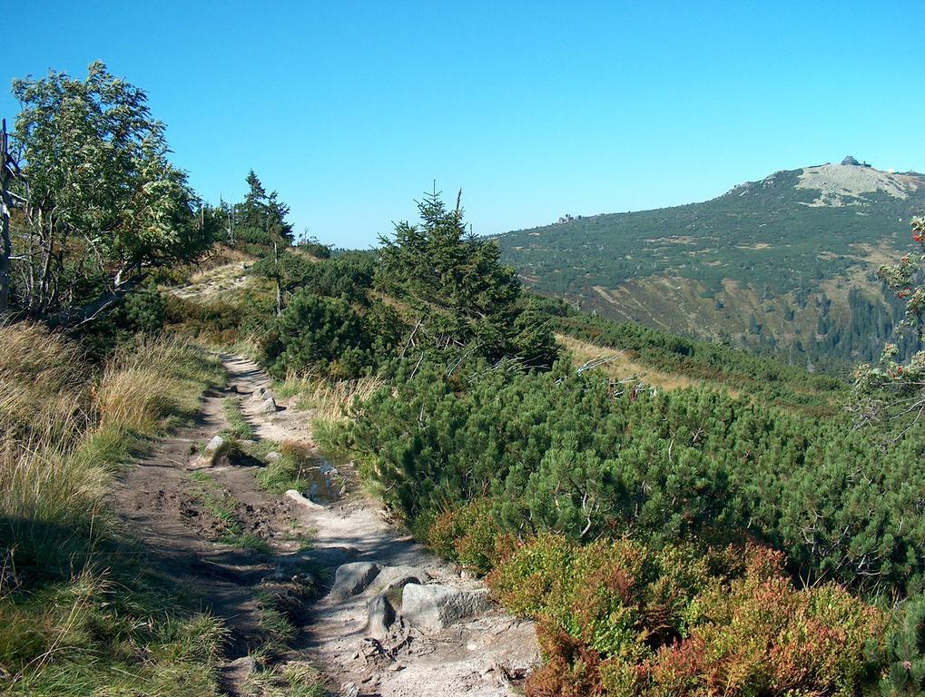 Penzion Podlesi Kořenov Exterior foto
