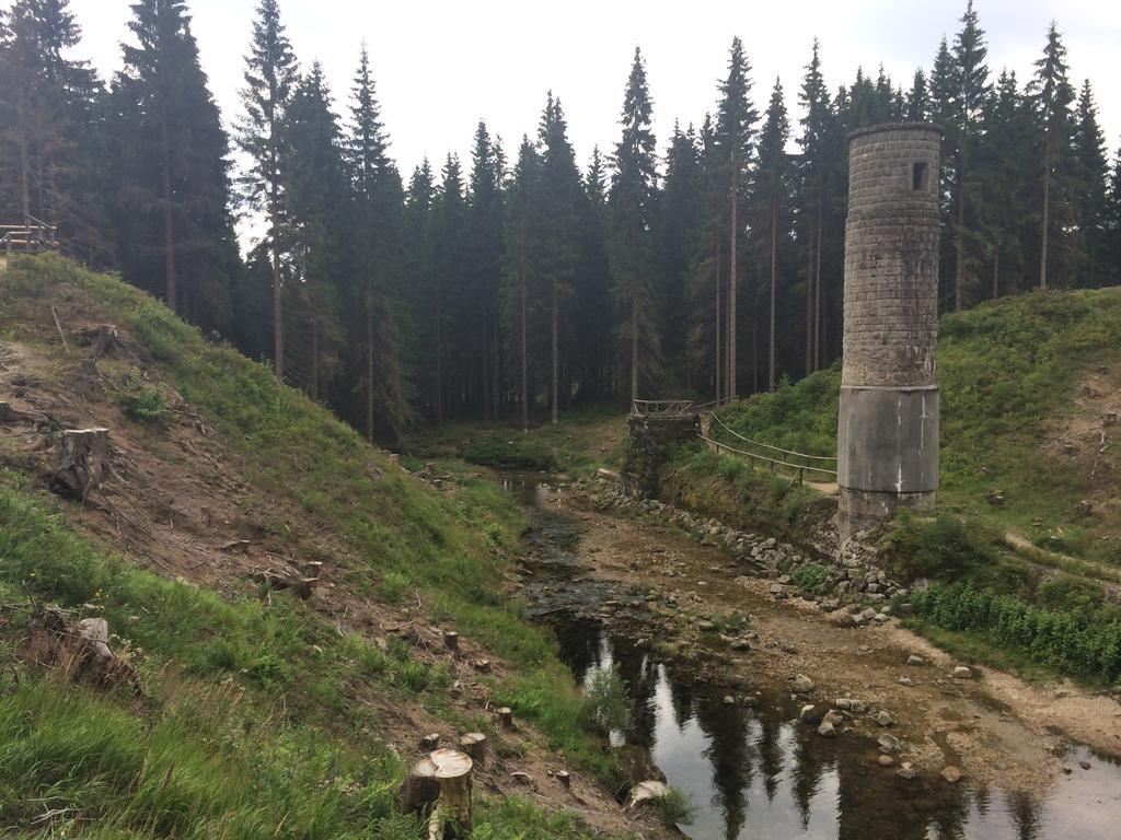 Penzion Podlesi Kořenov Exterior foto